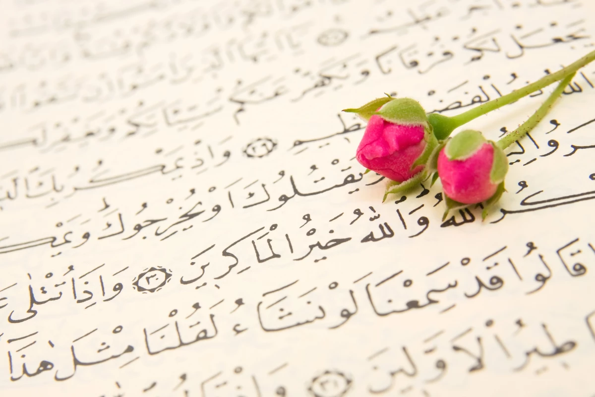 What Is A Surah In The Quran