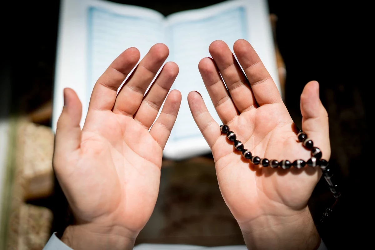All Quran Surah