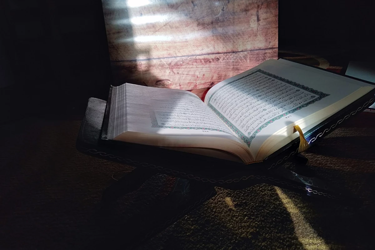  Tajweed Quran Online