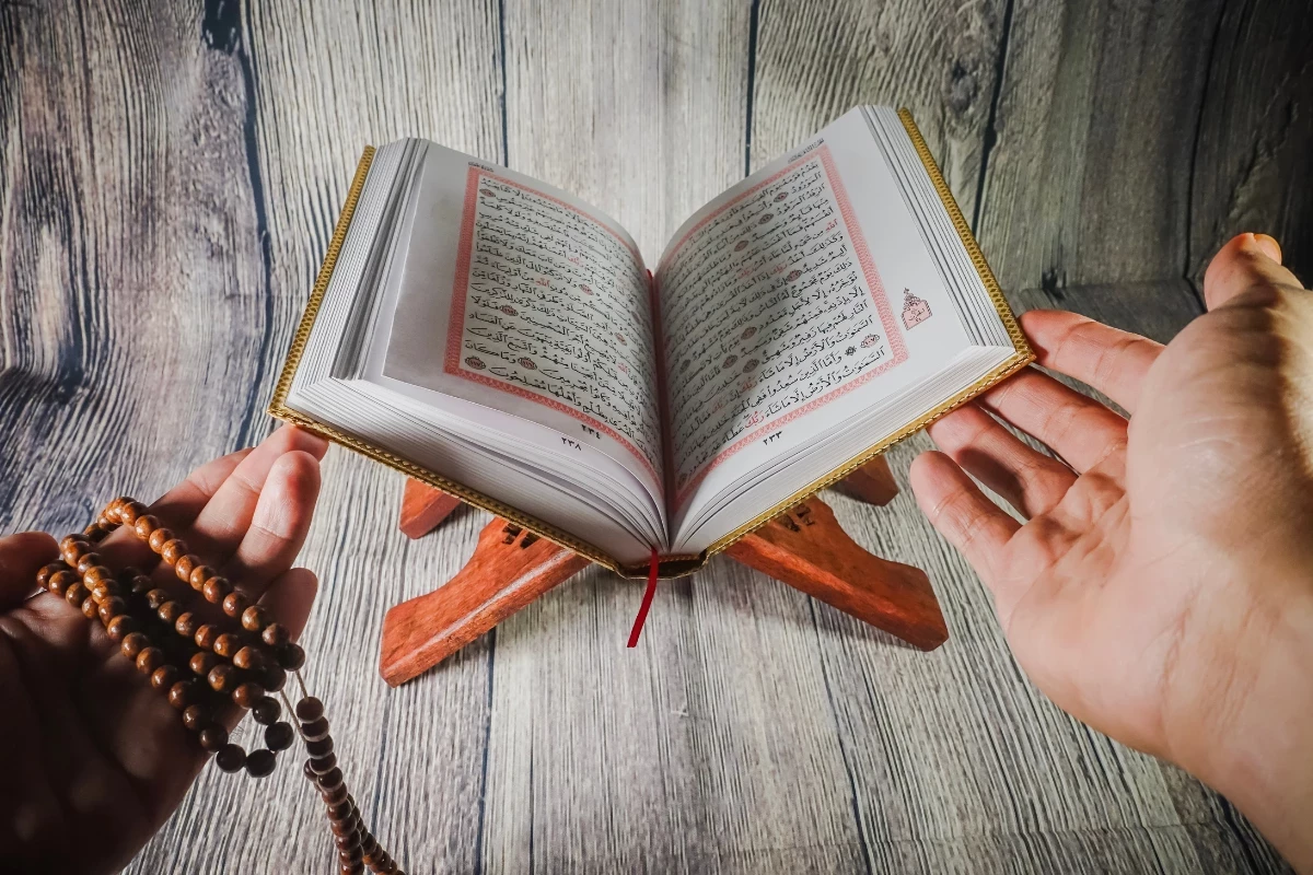 Read the Holy Quran Online