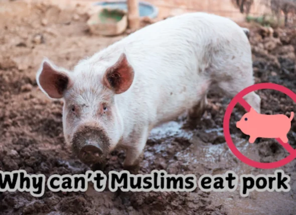 why can not Muslims eat pork