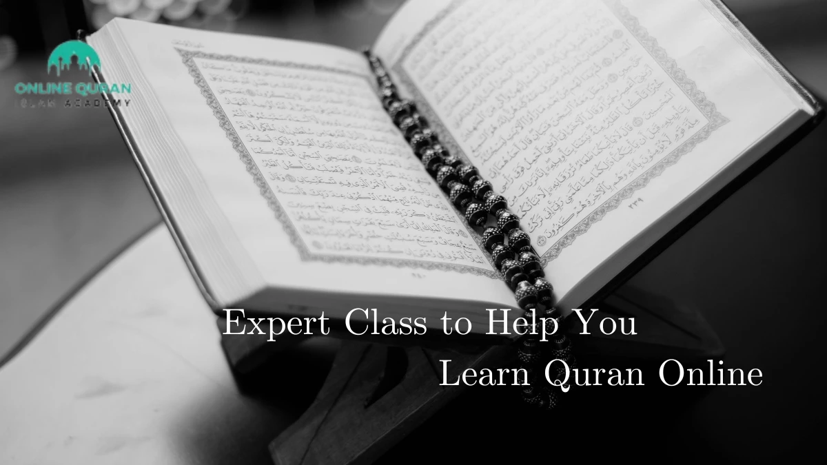 Expert Class to Help You Learn Quran Online
